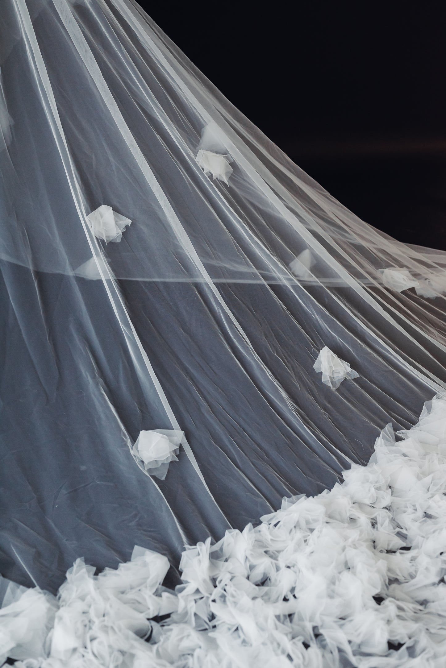 Pia Veil